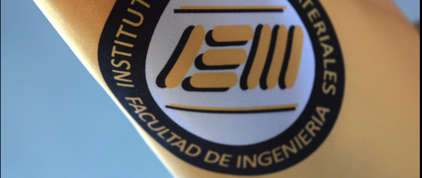 Logo del Instituto